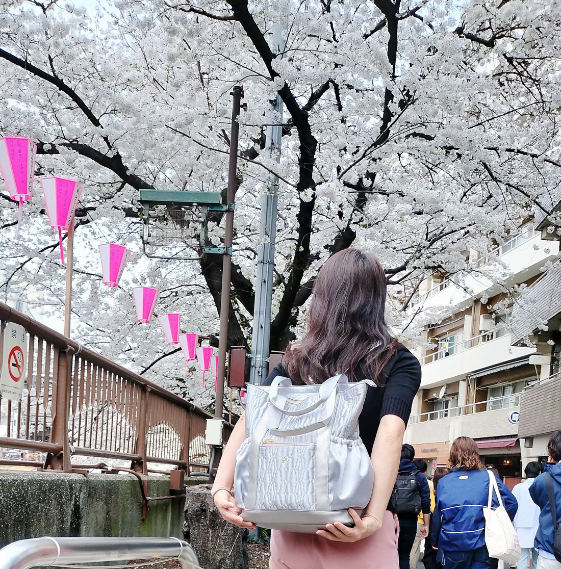 春分です♪ 春を愛でに、出かけませんか?