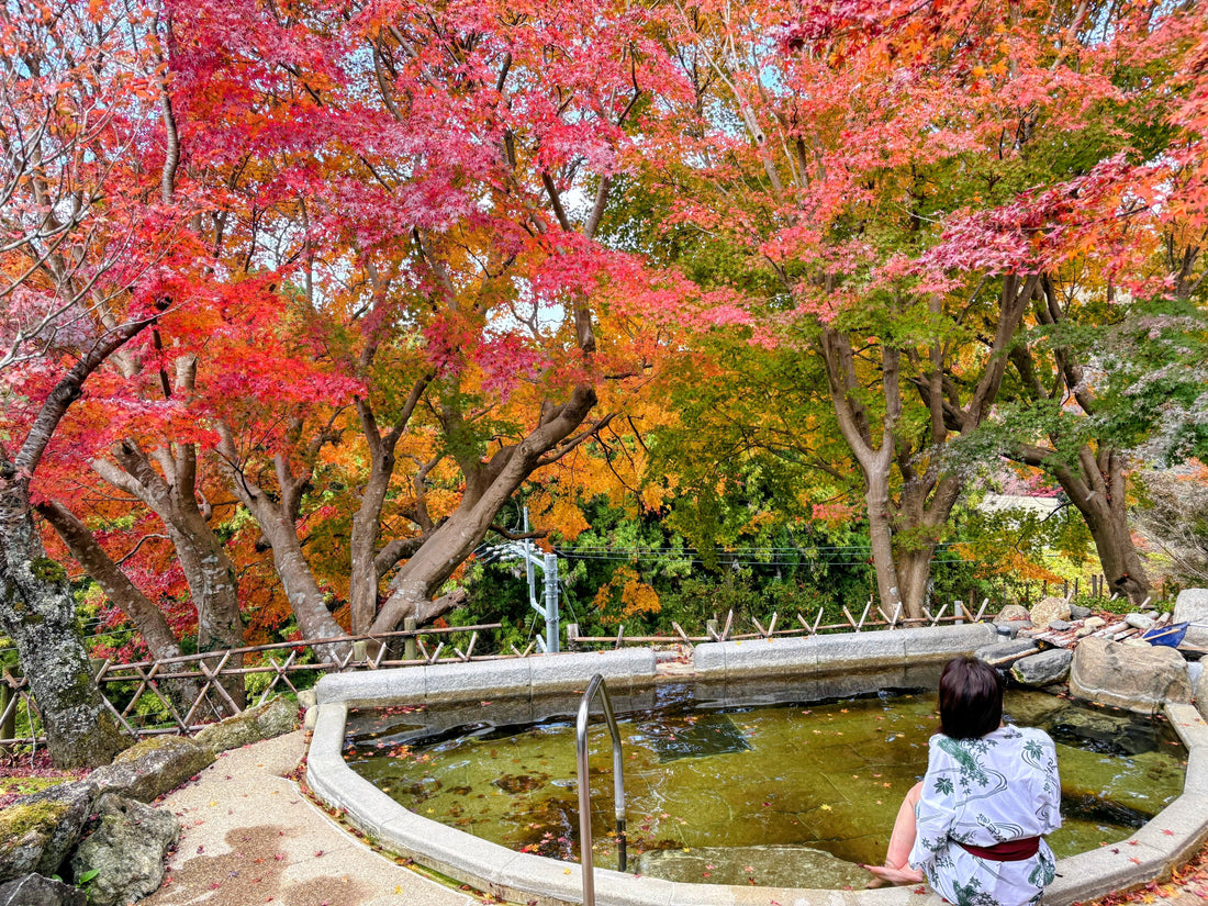 PIPOCCHIシルバー in 養老渓谷（千葉）＆滝見苑🍁